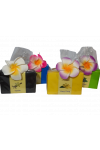 SAVON NATUREL X1 PARFUM VANILLE, CITRON VERT, COCO