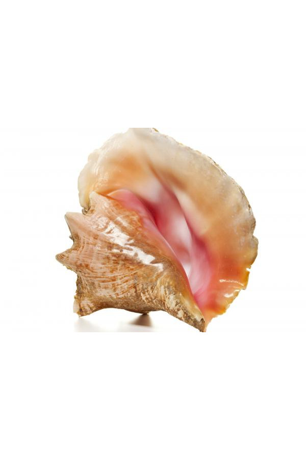 LAMBIS
