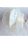 BAGUE CLITORIA BLANC