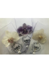 BROCHES ORCHIDEES