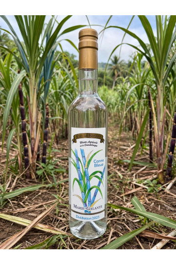 Rhul Blanc Canne Bleue