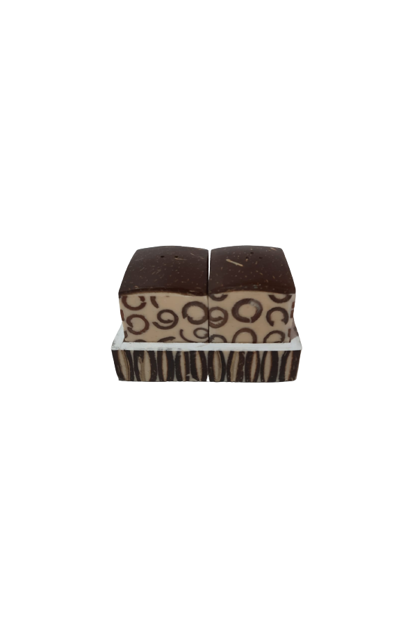 SALIERE ET POIVRIERE COCO RESINE INCRUSTE DE CANNELLE